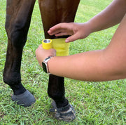Horse Leg Being Wrapped with Yellow 4 Inch Roll