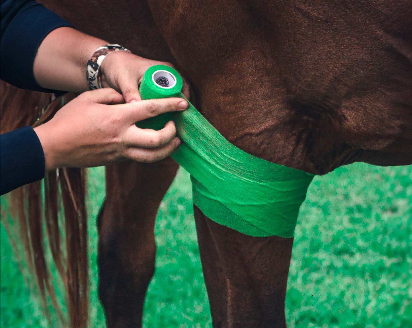 WildCow Green Vet Wrap in 4 Inch Size - Wrapping a Horse's Leg
