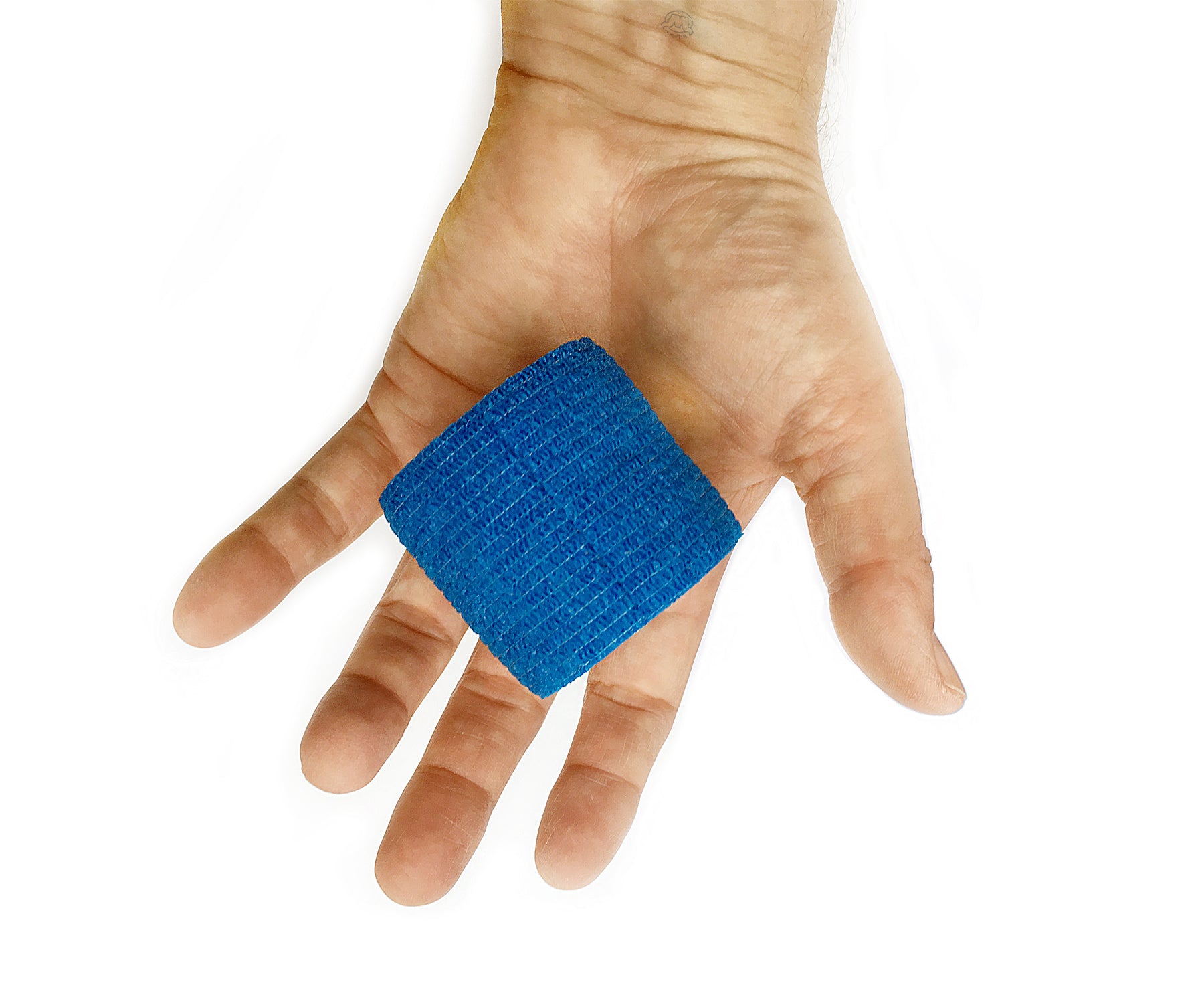 Hand Holding 1 Roll of WildCow Blue 2 Inch Vet Wrap