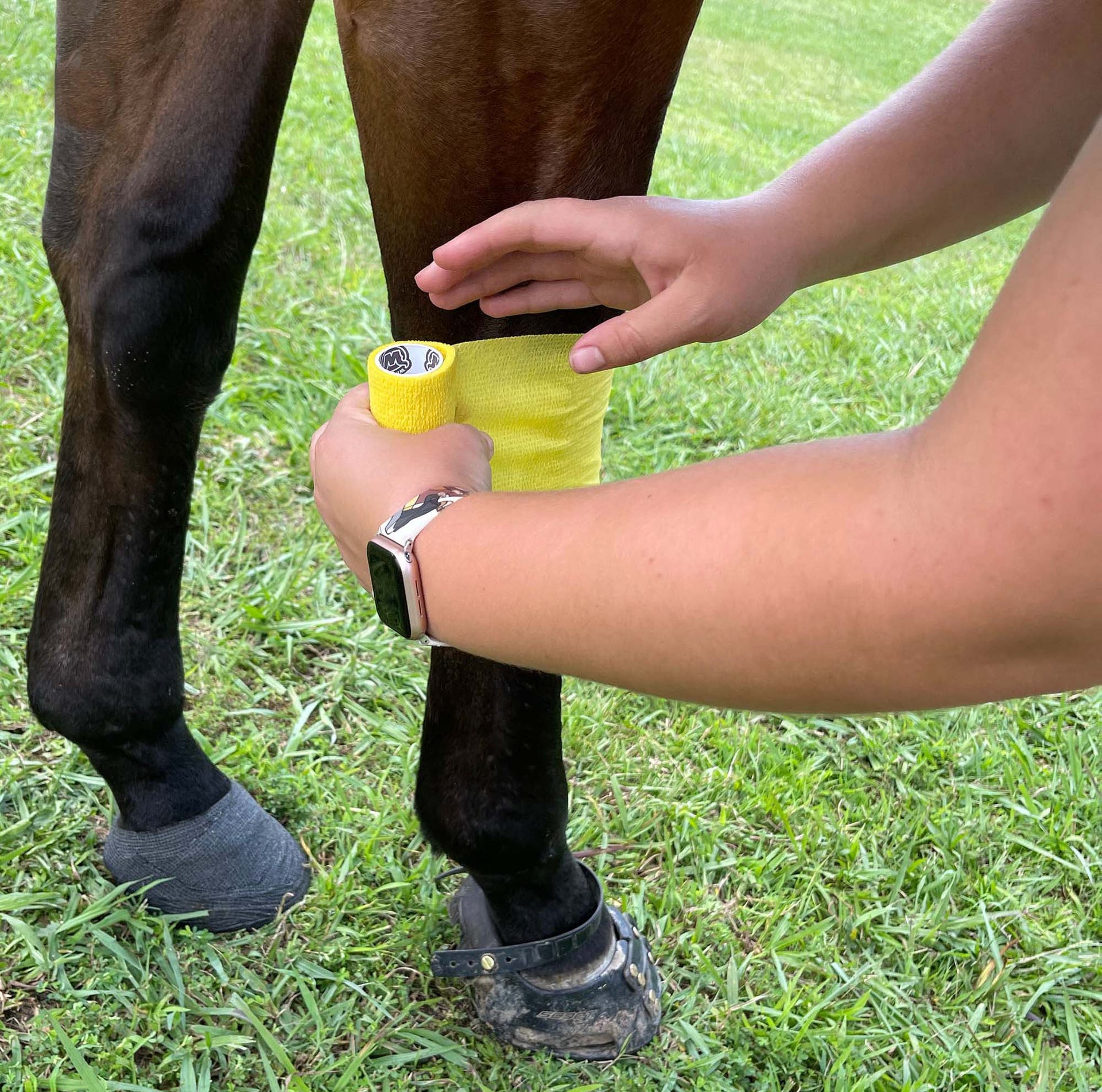 Wrapping a horse's leg with WildCow vet wrap