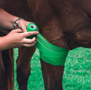 Wrapping a horse's leg with WildCow 4 inch vet wrap